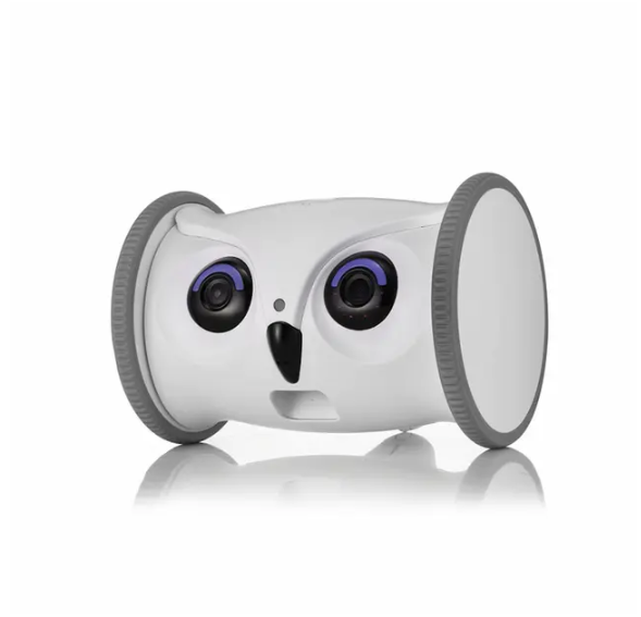 Skymee智能互動寵物玩具貓頭鷹(攝影鏡頭+遠程投食機) AI-C20