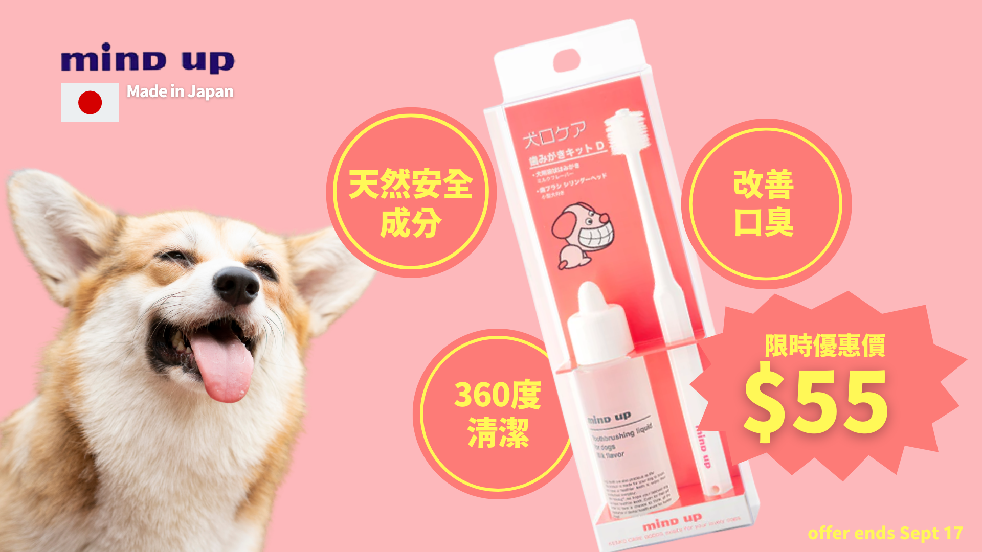 Waylun Pet Care