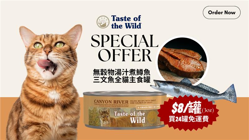 Waylun Pet Care