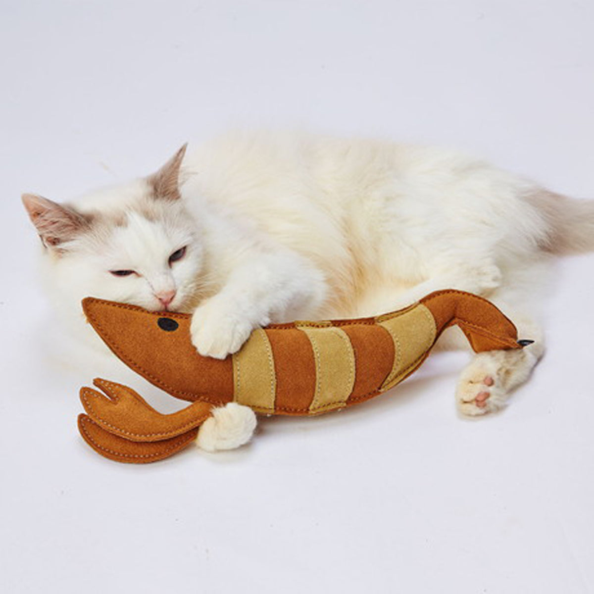 Waylun Pet Care