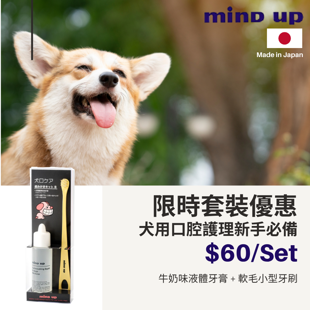 Waylun Pet Care