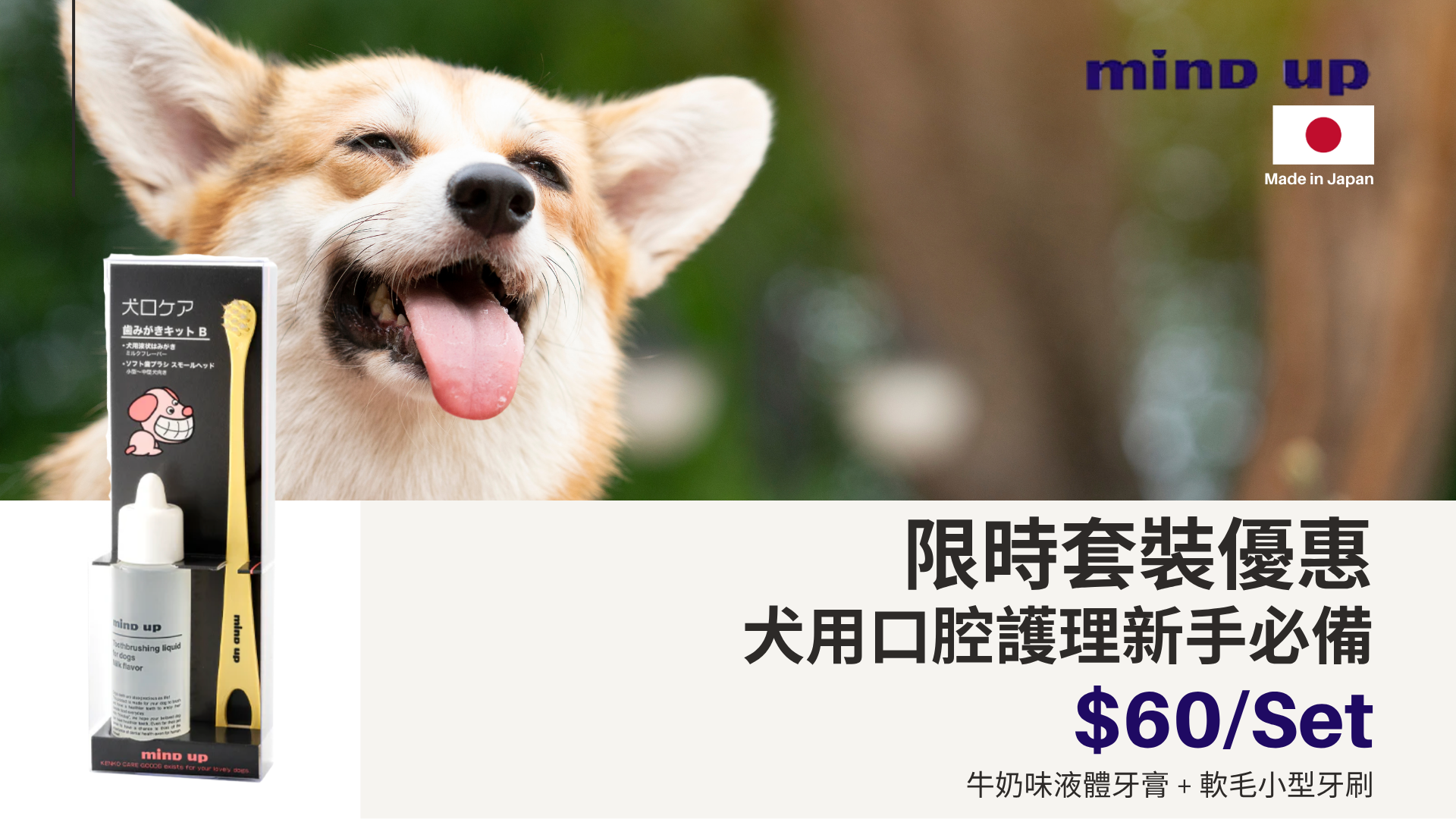 Waylun Pet Care